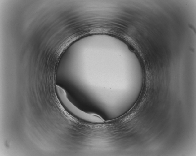 X0000100361041200806201600