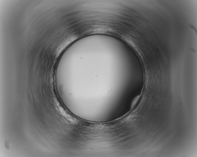 X0000100361042200806201600