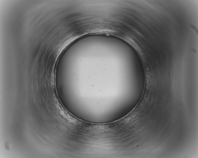 X0000100361044200806201600