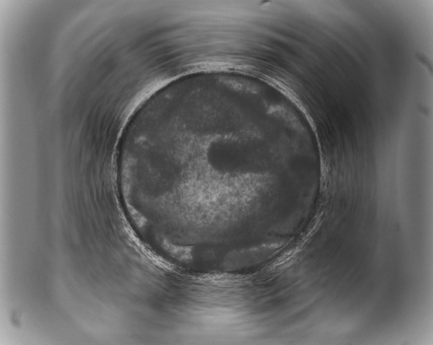 X0000100361045200806201600