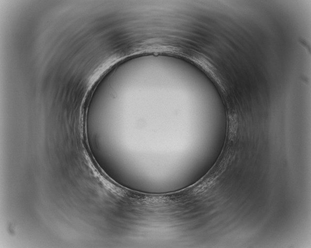 X0000100361046200806201600