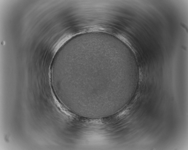 X0000100361047200806201600