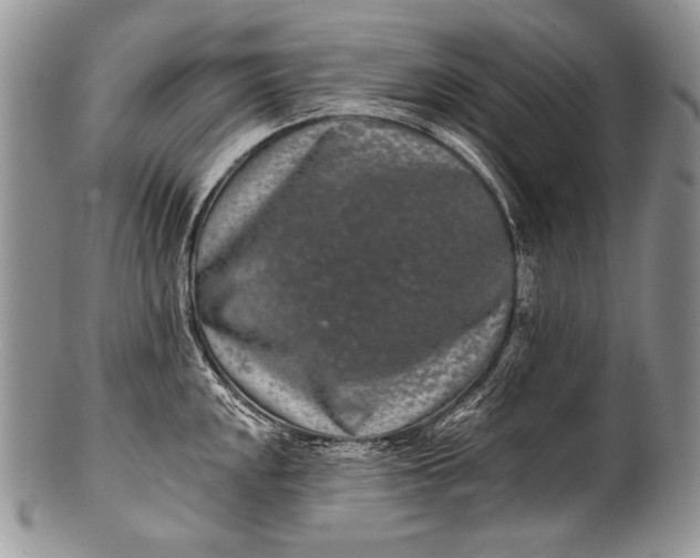 X0000100361048200806201600