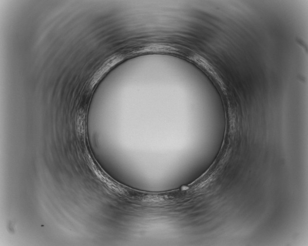 X0000100361049200806201600