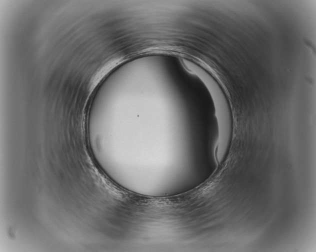 X0000100361050200806201600