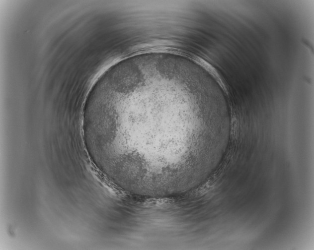 X0000100361051200806201600