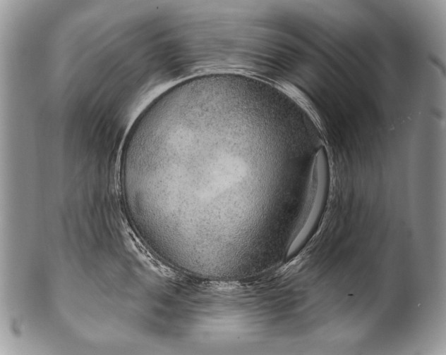 X0000100361052200806201600