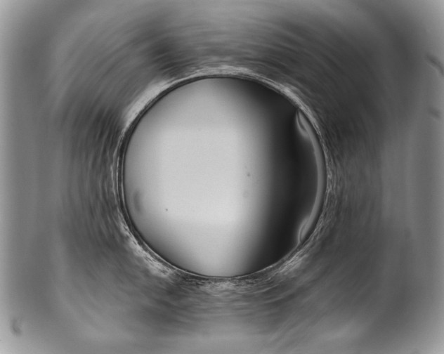 X0000100361054200806201600