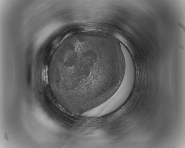 X0000100361055200806201600