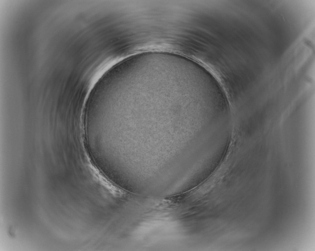 X0000100361056200806201600