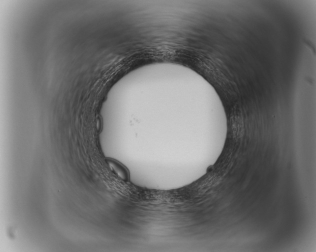 X0000100361057200806201559