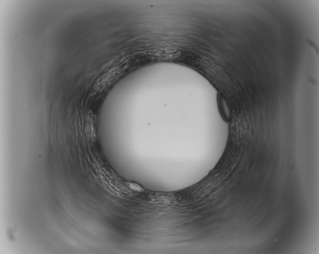 X0000100361058200806201559