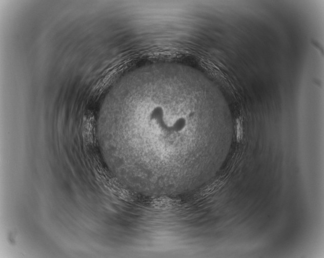 X0000100361059200806201559