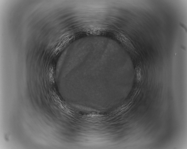 X0000100361060200806201559