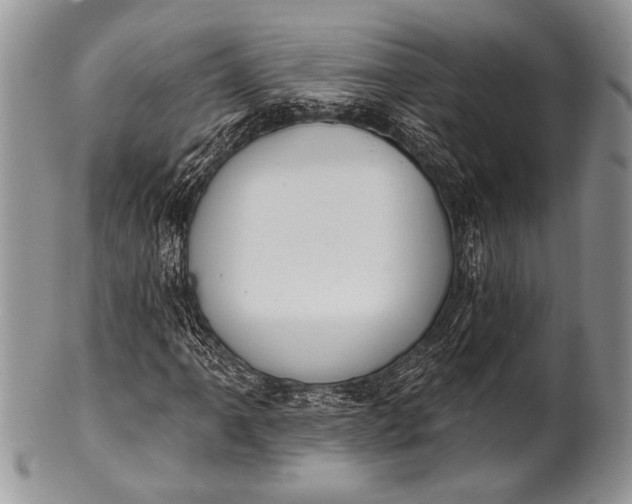 X0000100361061200806201559