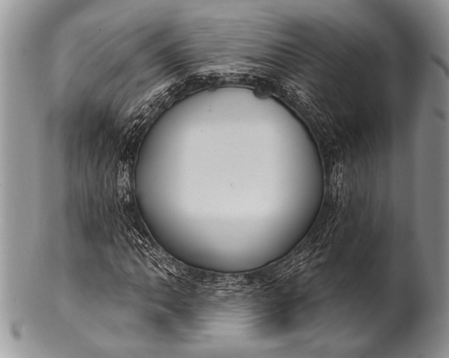 X0000100361062200806201559