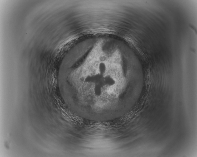 X0000100361063200806201559