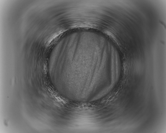 X0000100361064200806201559