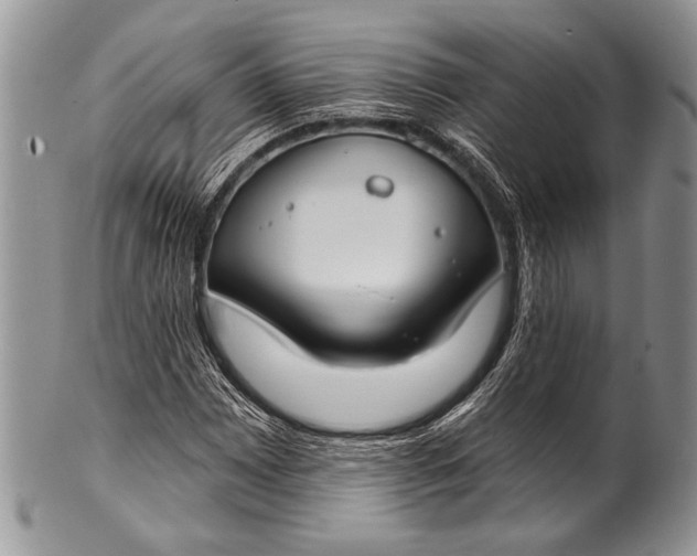 X0000100361065200806201559