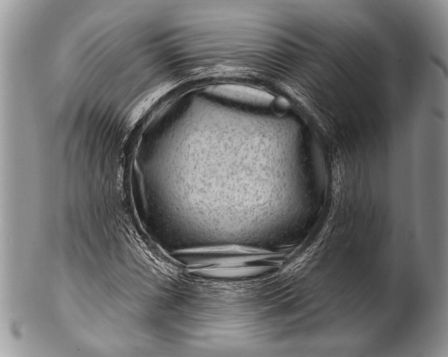 X0000100361066200806201559