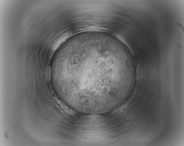 X0000100361067200806201559