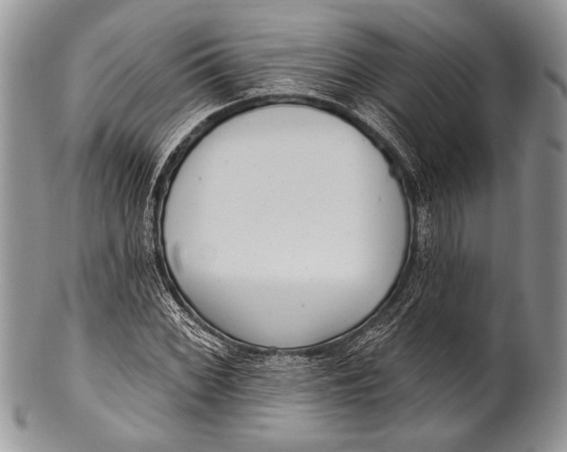 X0000100361068200806201559