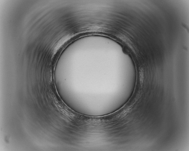 X0000100361069200806201559