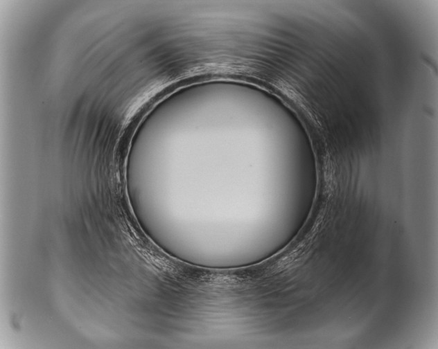 X0000100361070200806201559