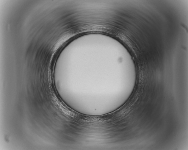 X0000100361072200806201559