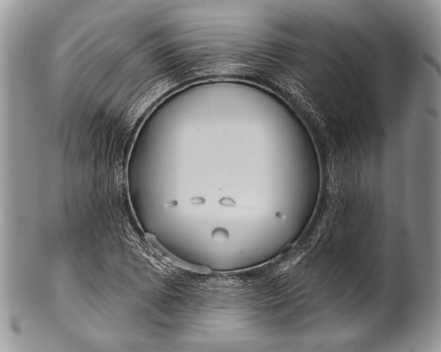 X0000100361073200806201559