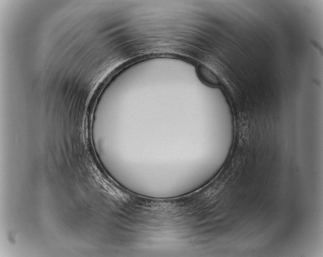 X0000100361076200806201559