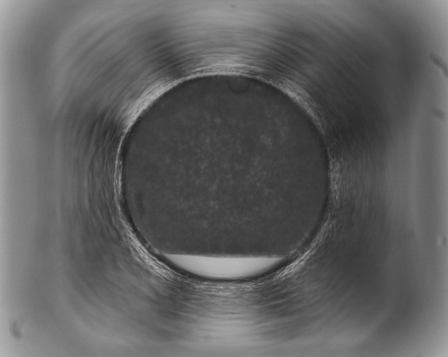 X0000100361077200806201559