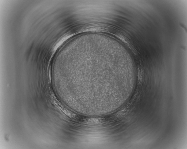 X0000100361078200806201559