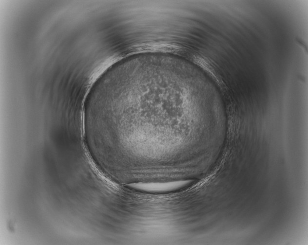 X0000100361079200806201559