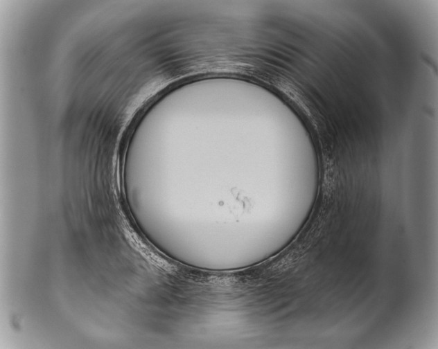 X0000100361080200806201559