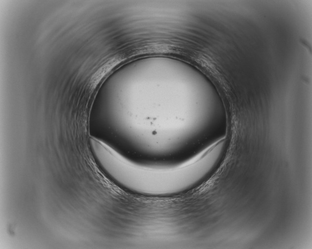 X0000100361081200806201559