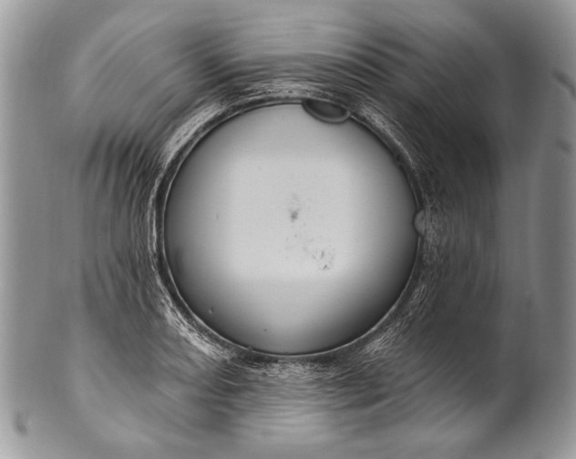 X0000100361082200806201559