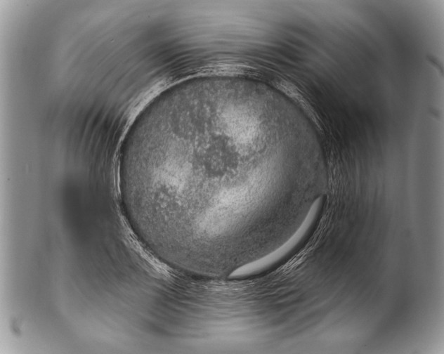 X0000100361083200806201559