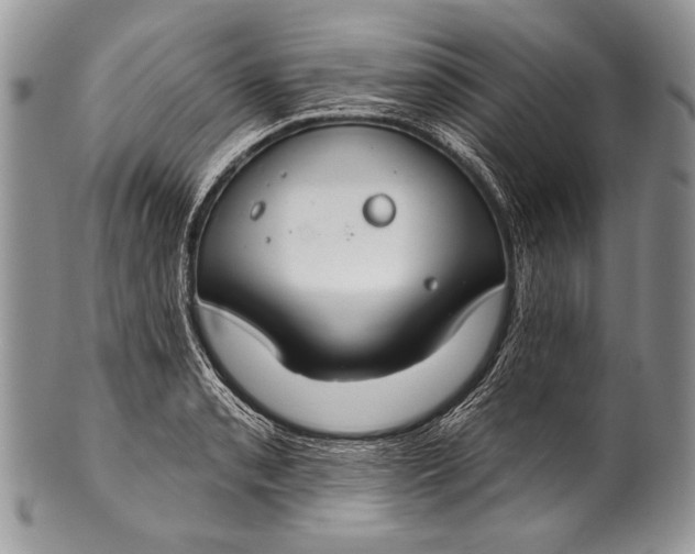 X0000100361085200806201559