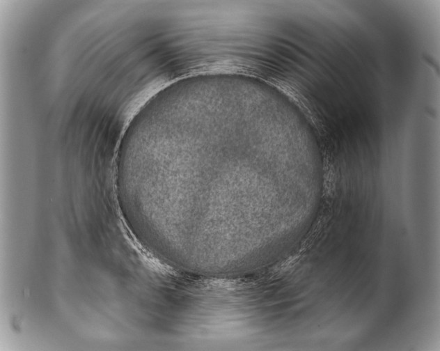 X0000100361086200806201559