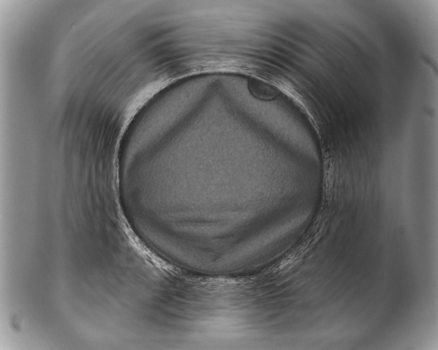 X0000100361088200806201559