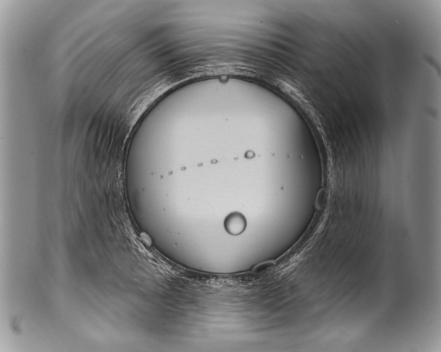 X0000100361089200806201559