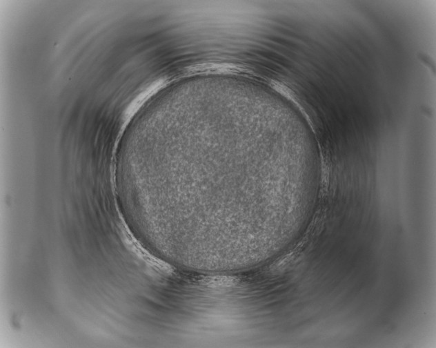 X0000100361090200806201559