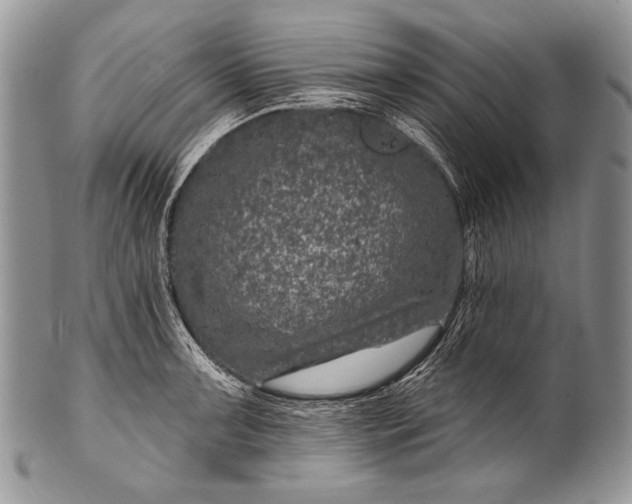 X0000100361091200806201559