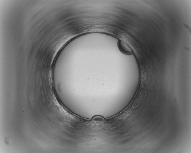 X0000100361092200806201559