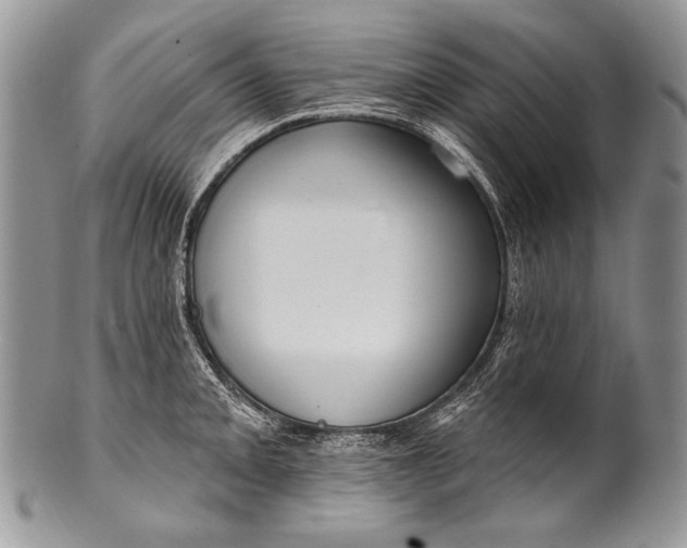 X0000100361093200806201559