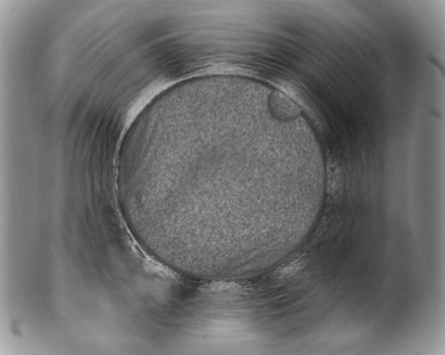 X0000100361094200806201559