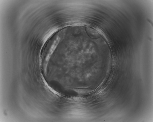 X0000100361095200806201559