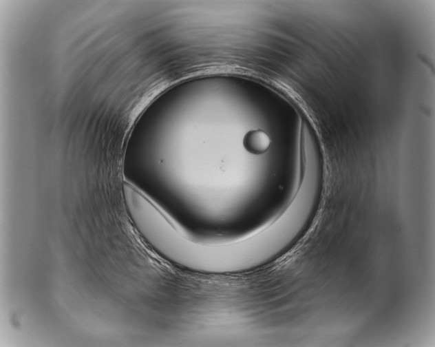 X0000100361097200806201559