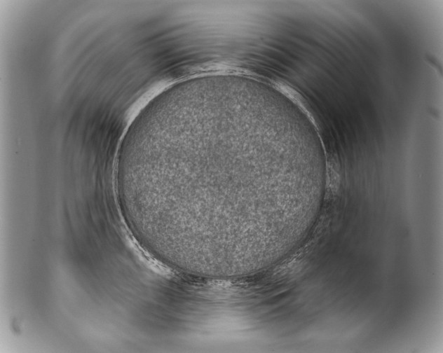 X0000100361098200806201559